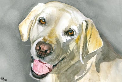 Labrador Retriever Dog Art Print Matted P/L